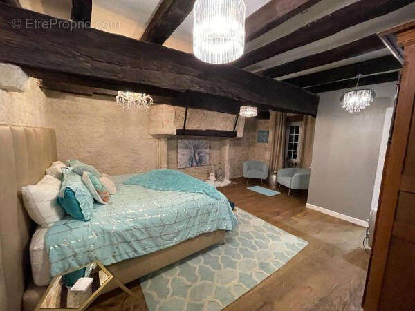 Gite 1 master - Maison à CHENON