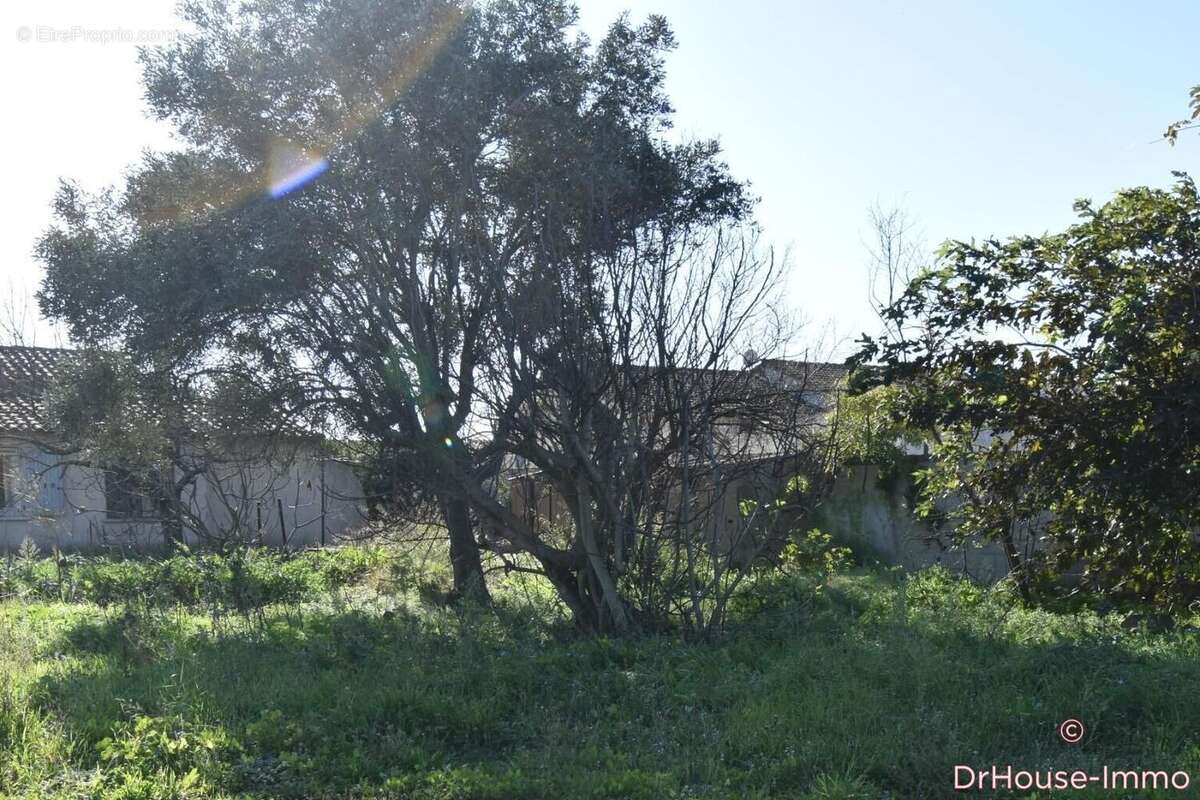 Maison à FOS-SUR-MER