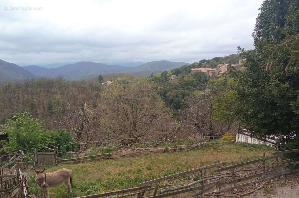 Maison à SAINT-ROMAN-DE-CODIERES