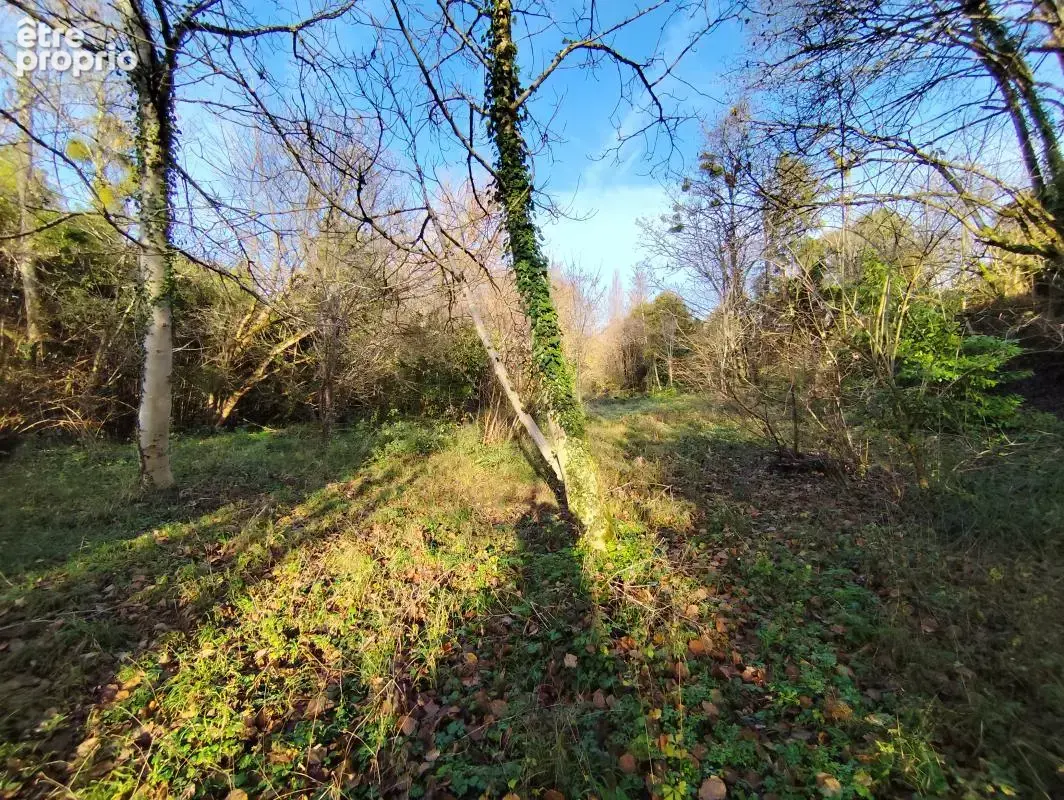 BONNETAN sur 2511m² arborés maison à rénover de 90m² 149 000€ - photo 4