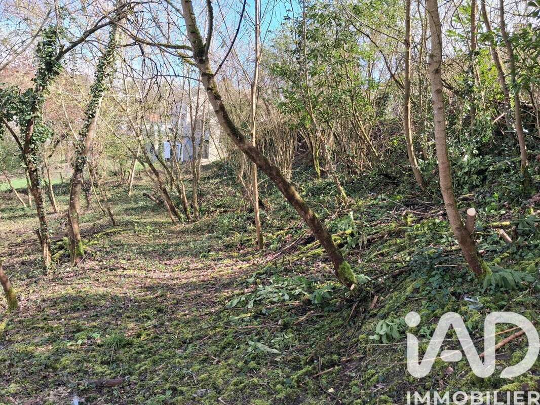 Photo 4 - Terrain à SAINT-GOBAIN