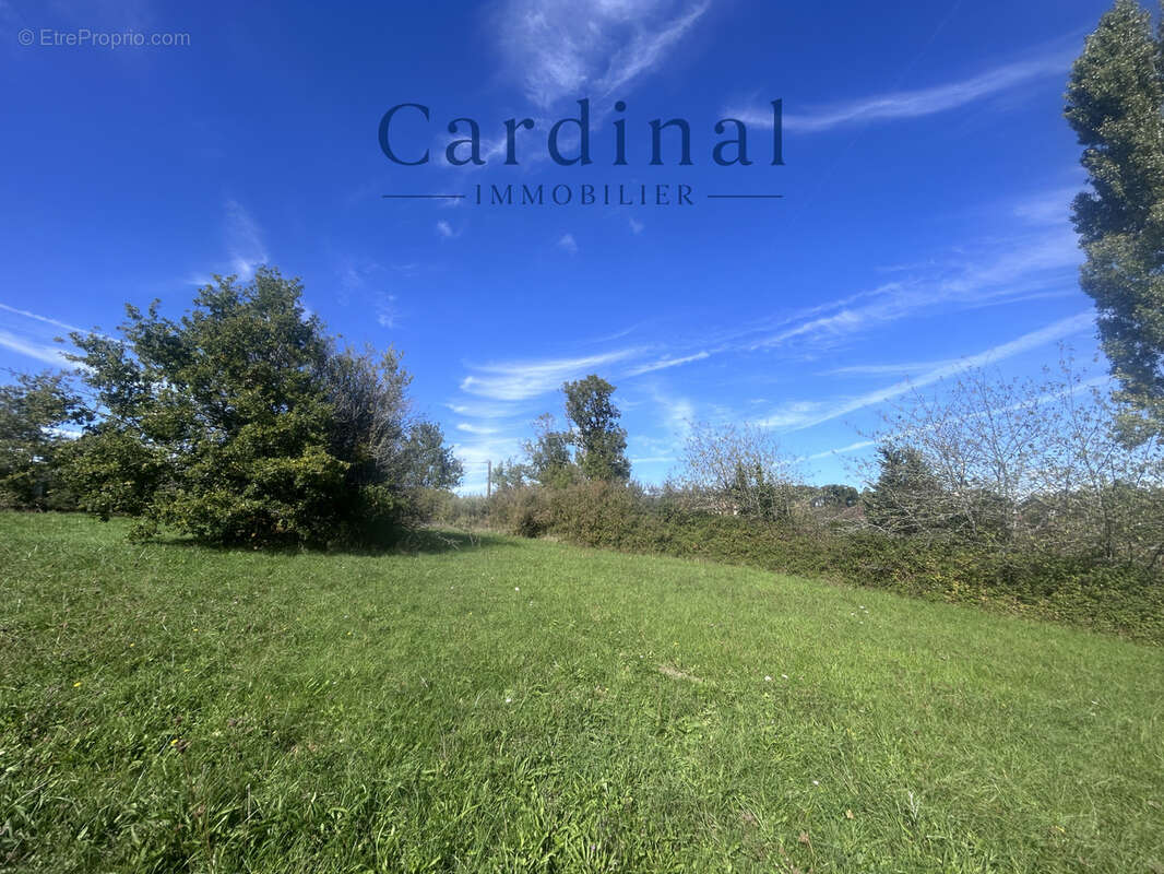 VUE DOMINANTE Terrain bien exposé, 1600m2 Petit Prix - photo 4