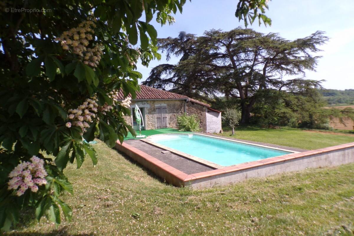 Piscine au Sud face aux Pyrénées. - Maison à RIGUEPEU