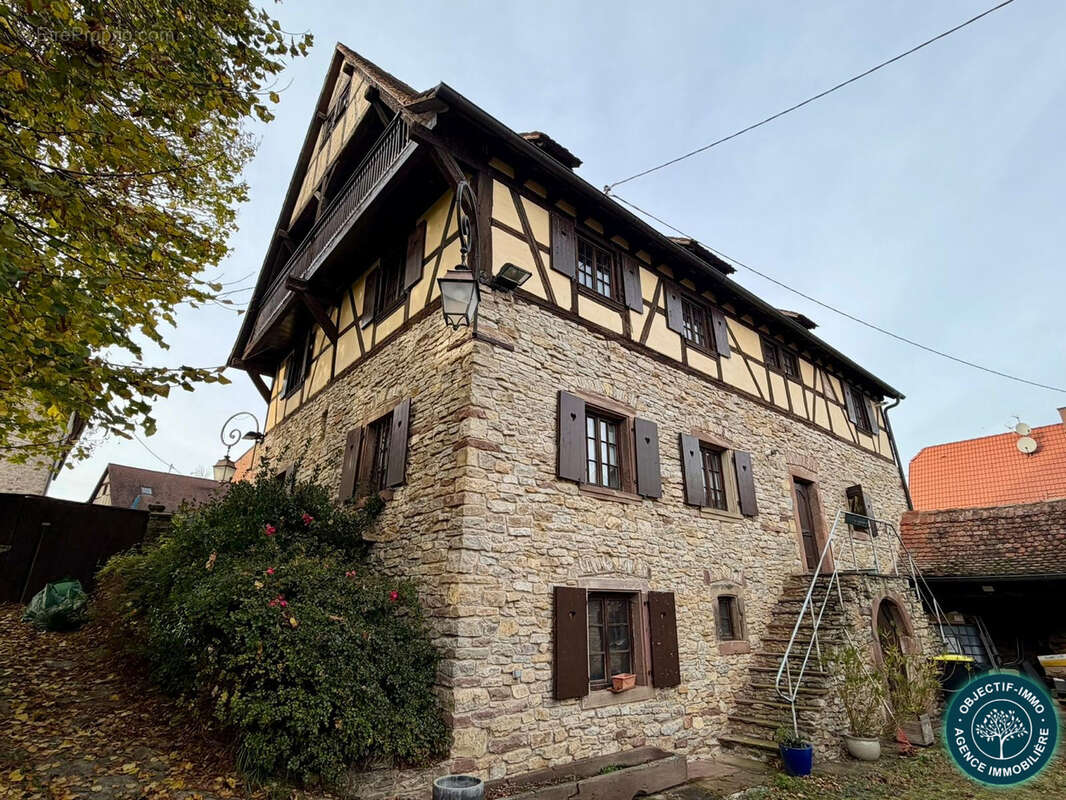 Appartement à WILLGOTTHEIM