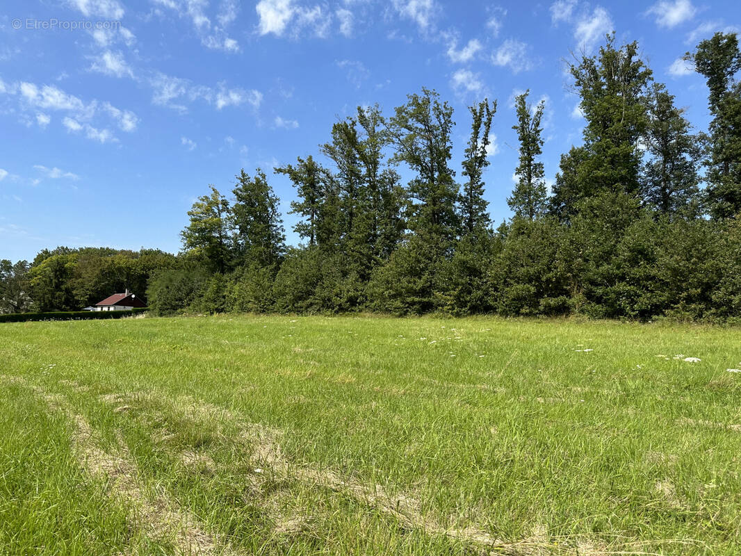 Terrain à LIXY
