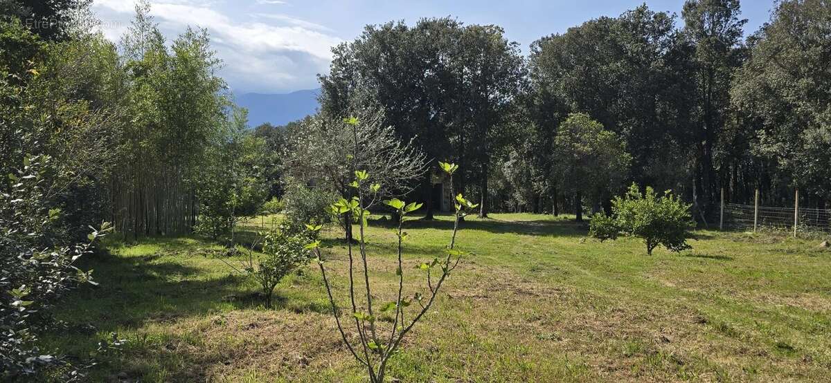 Maison à GHISONACCIA