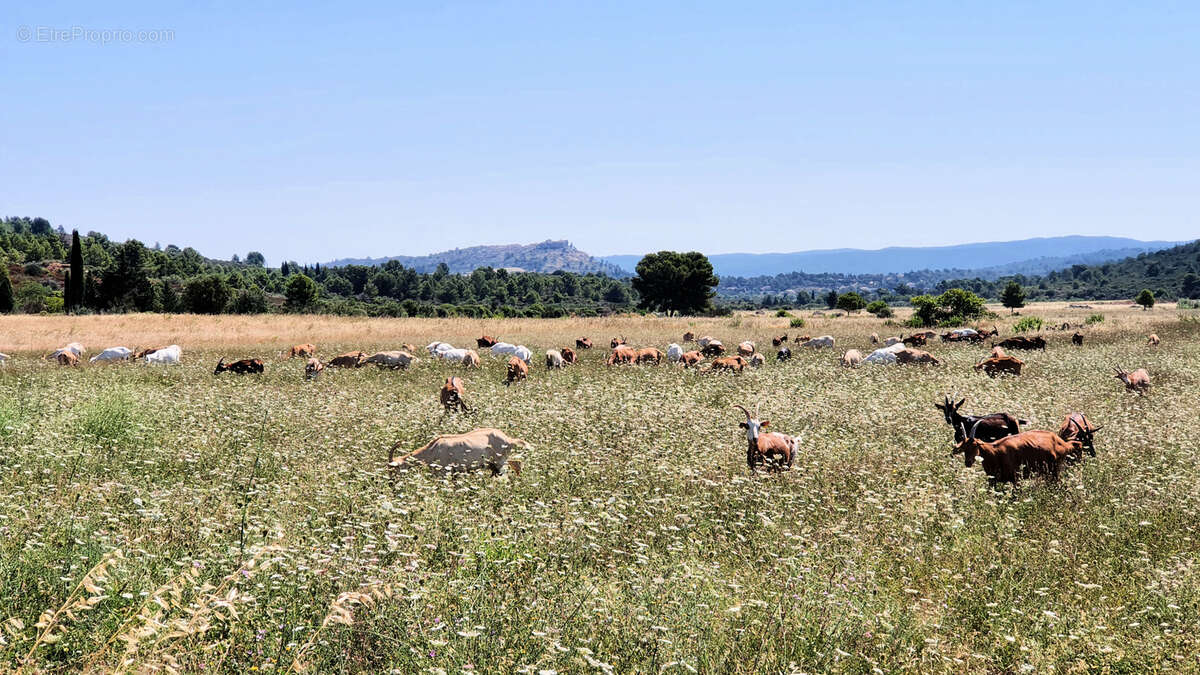 Terrain à bâtir viabilisé de 752m2 - photo 18