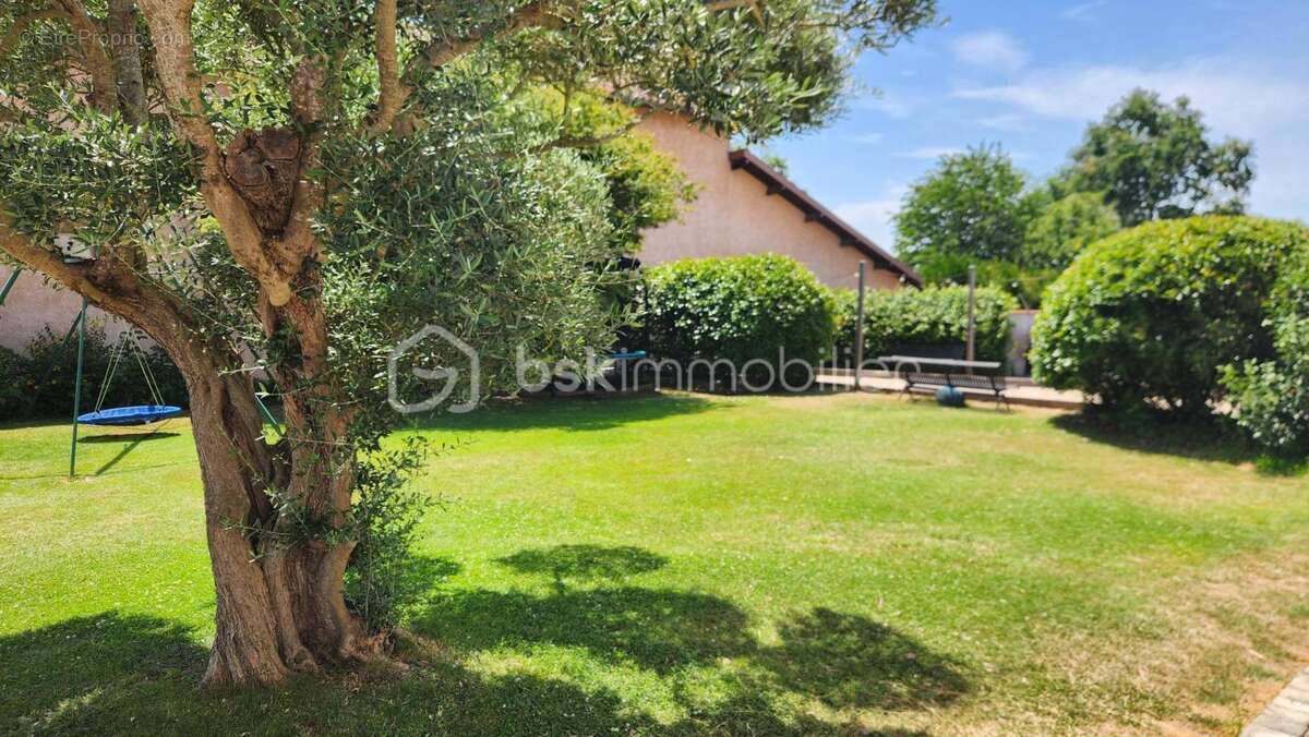 Ensemble immobilier : maison + appartement avec piscine - photo 8