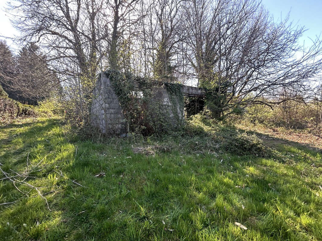 Terrain à LAGRAULIERE