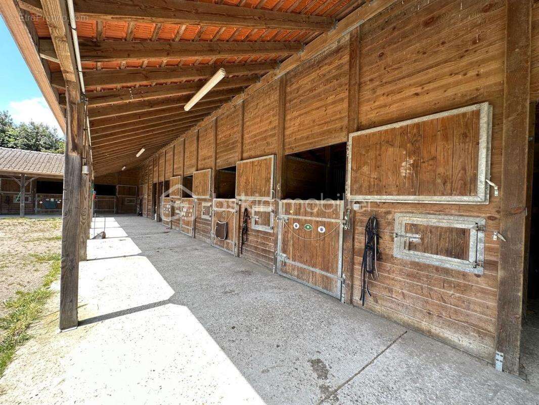 Maison à BOURG-ACHARD