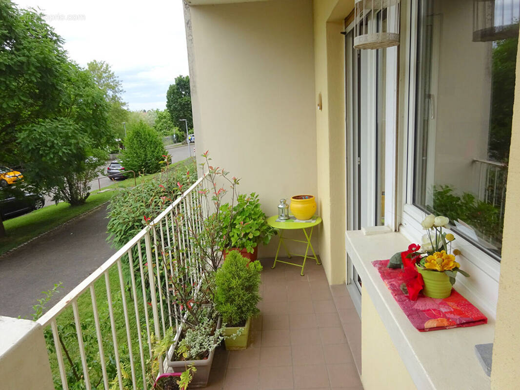 Appartement à RIEDISHEIM
