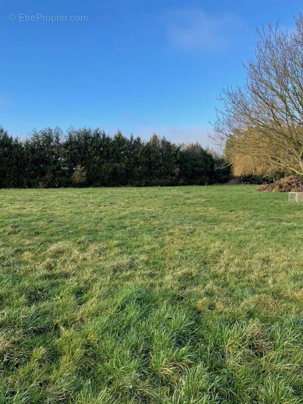 Terrain à LUZARCHES