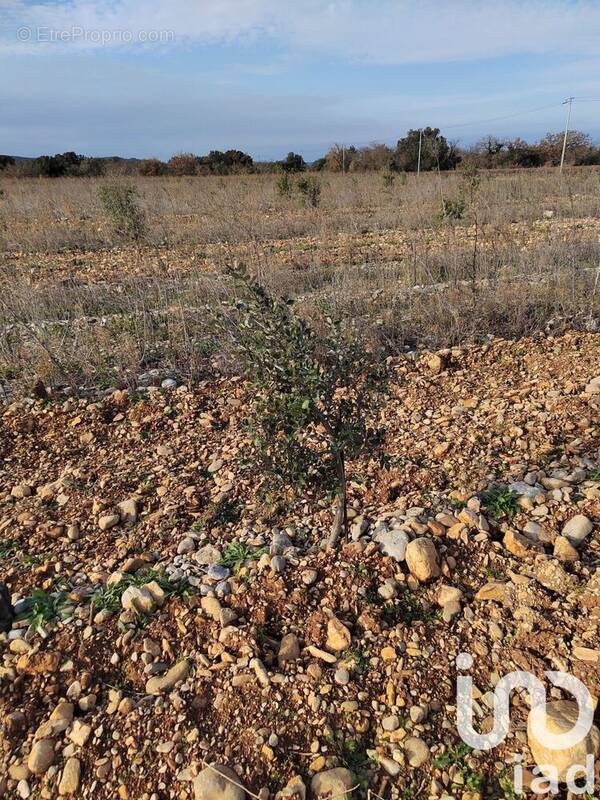 Photo 1 - Terrain à ROCHEGUDE
