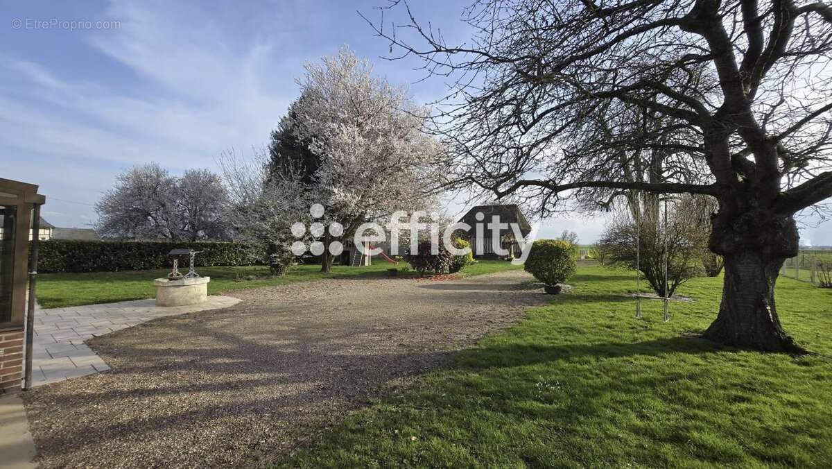 Maison à AMFREVILLE-LA-CAMPAGNE