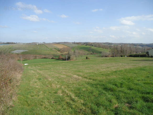 Grande parcelle à bâtir avec belles vues - photo 5