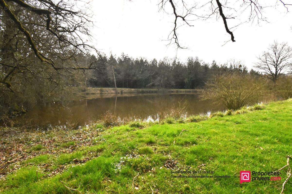 Terrain à LA PLAINE