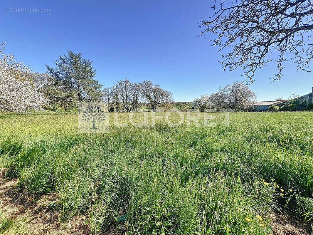 Maison à SAINT-LOUP-LAMAIRE