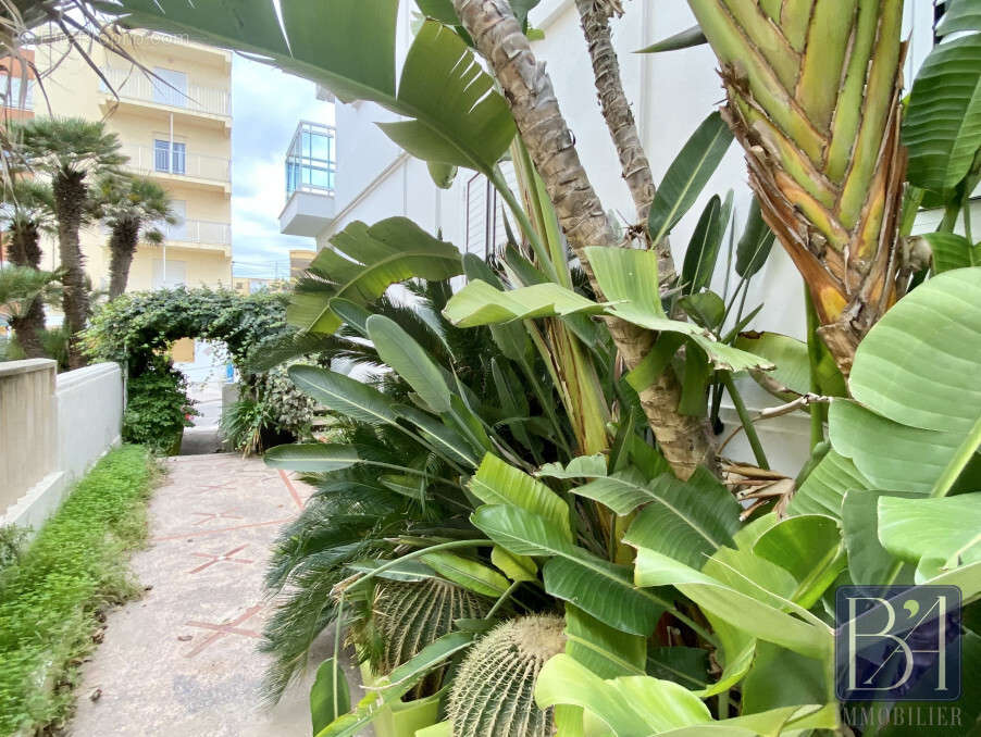 Appartement à SOTURAC