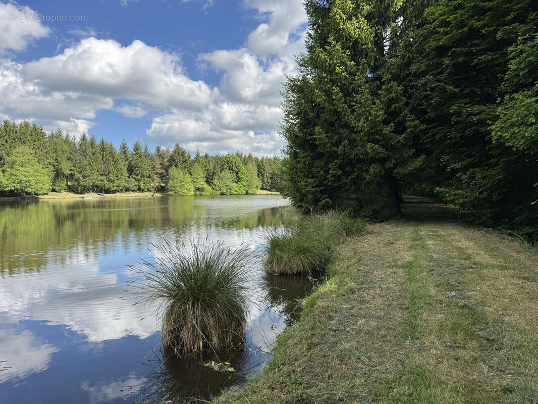 Ensemble de 2 grands etangs dans le morvan - photo 15