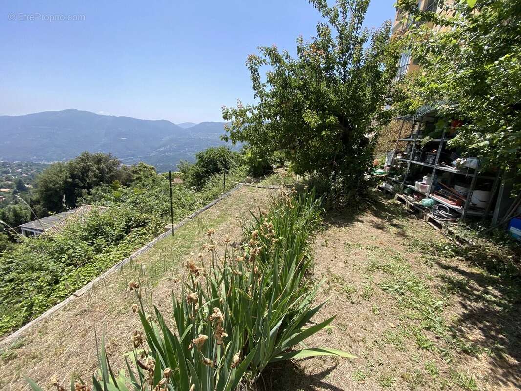 Terrain à BERRE-LES-ALPES