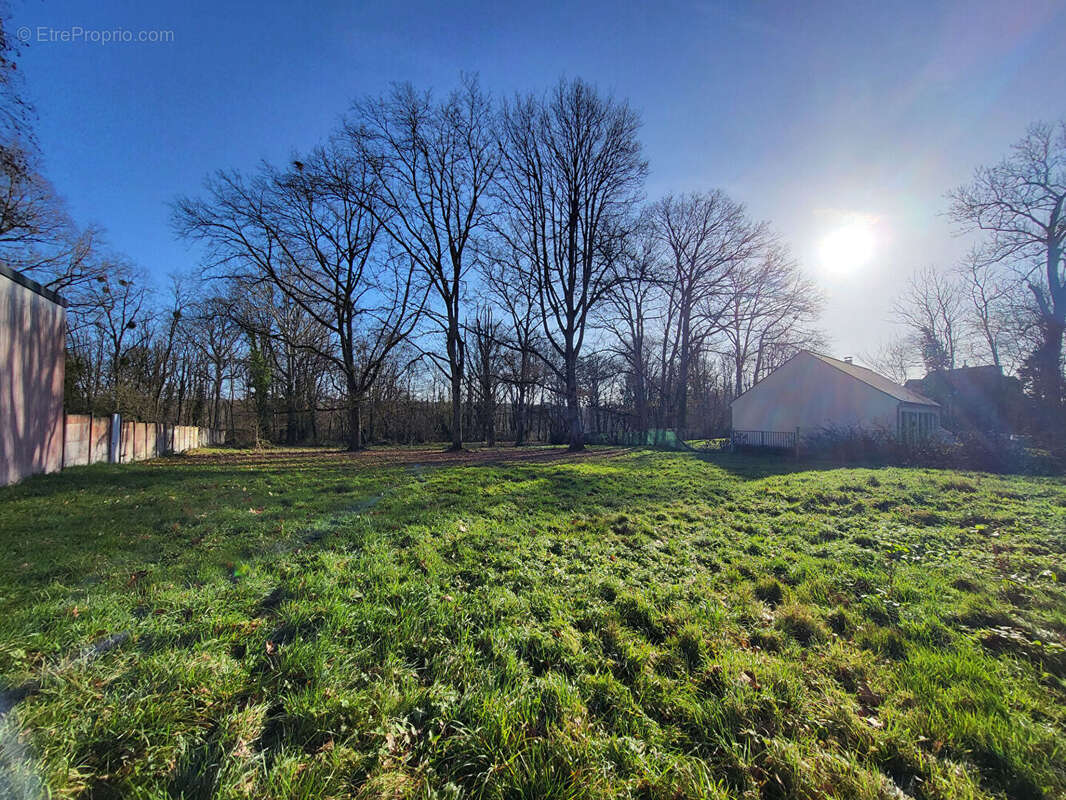 Terrain à SOIGNOLLES-EN-BRIE