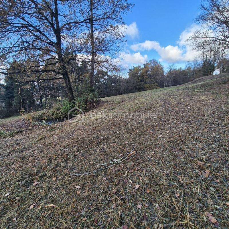Terrain à THIERS