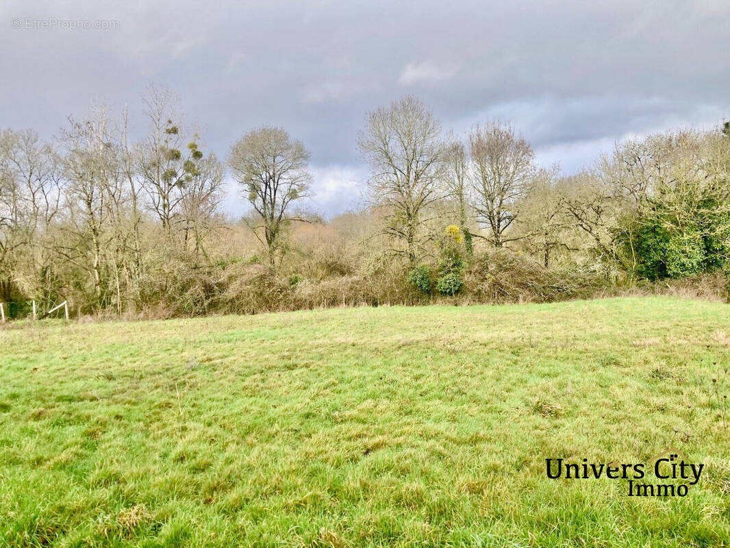 Terrain à PONT-SAINT-MARTIN