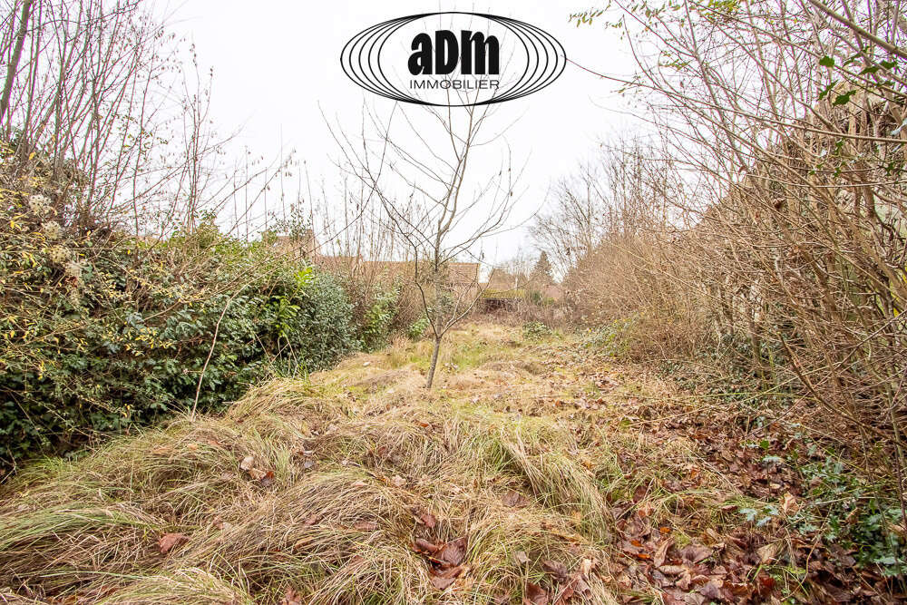 Maison à REUIL-EN-BRIE