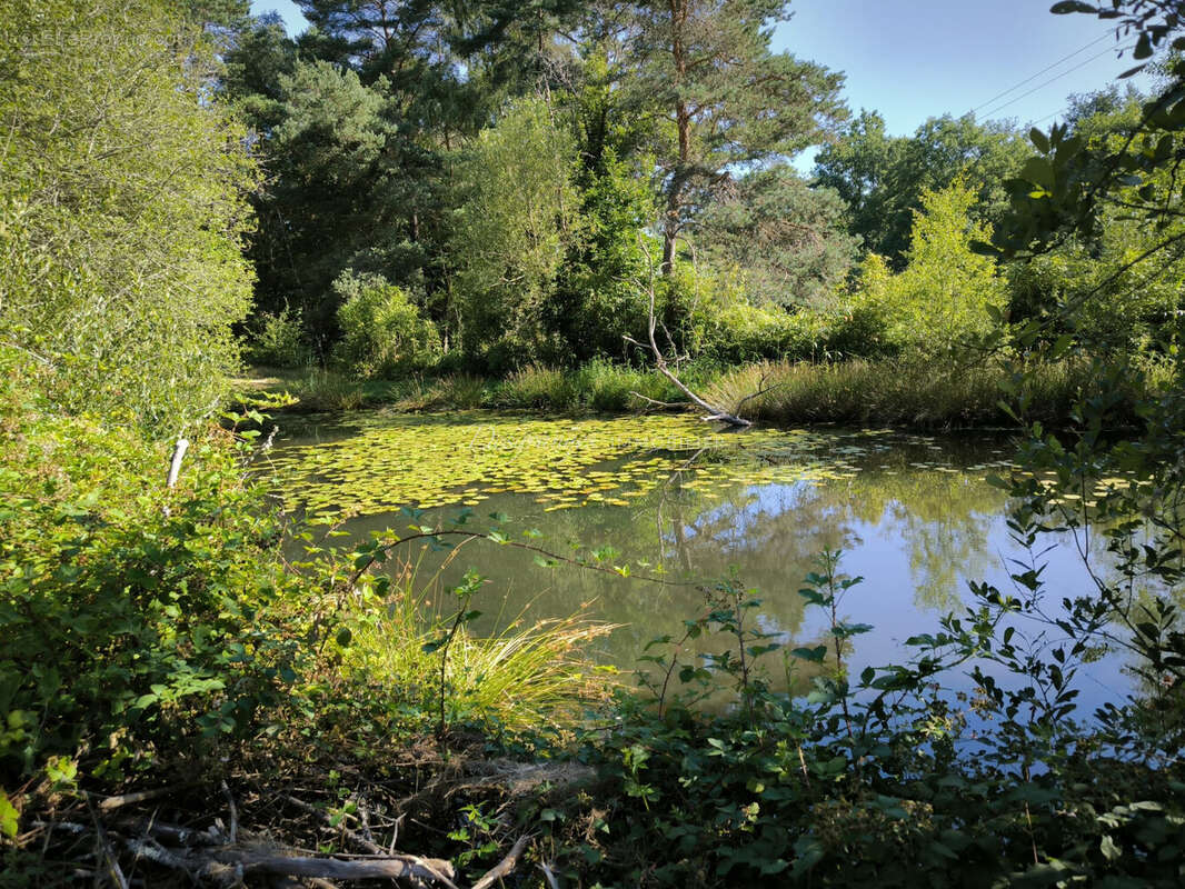 Terrain à SAINT-YRIEIX-LA-PERCHE