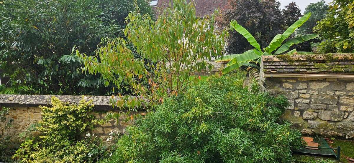 Photo 3 - Maison à FONTAINEBLEAU