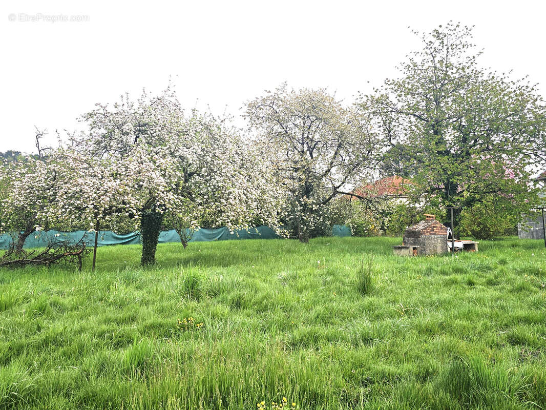 Maison individuelle sur 37 ares de terrain arbore proche frontiere belge - photo 6