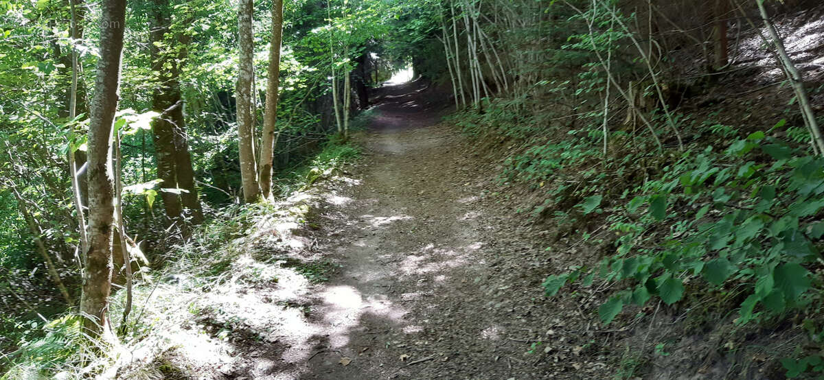 Terrain à GERARDMER