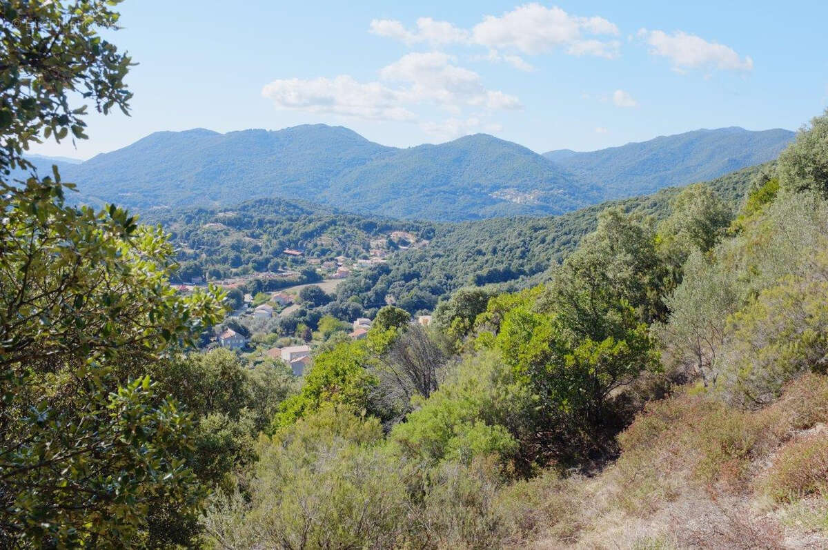 Terrain à SANTA-MARIA-SICHE