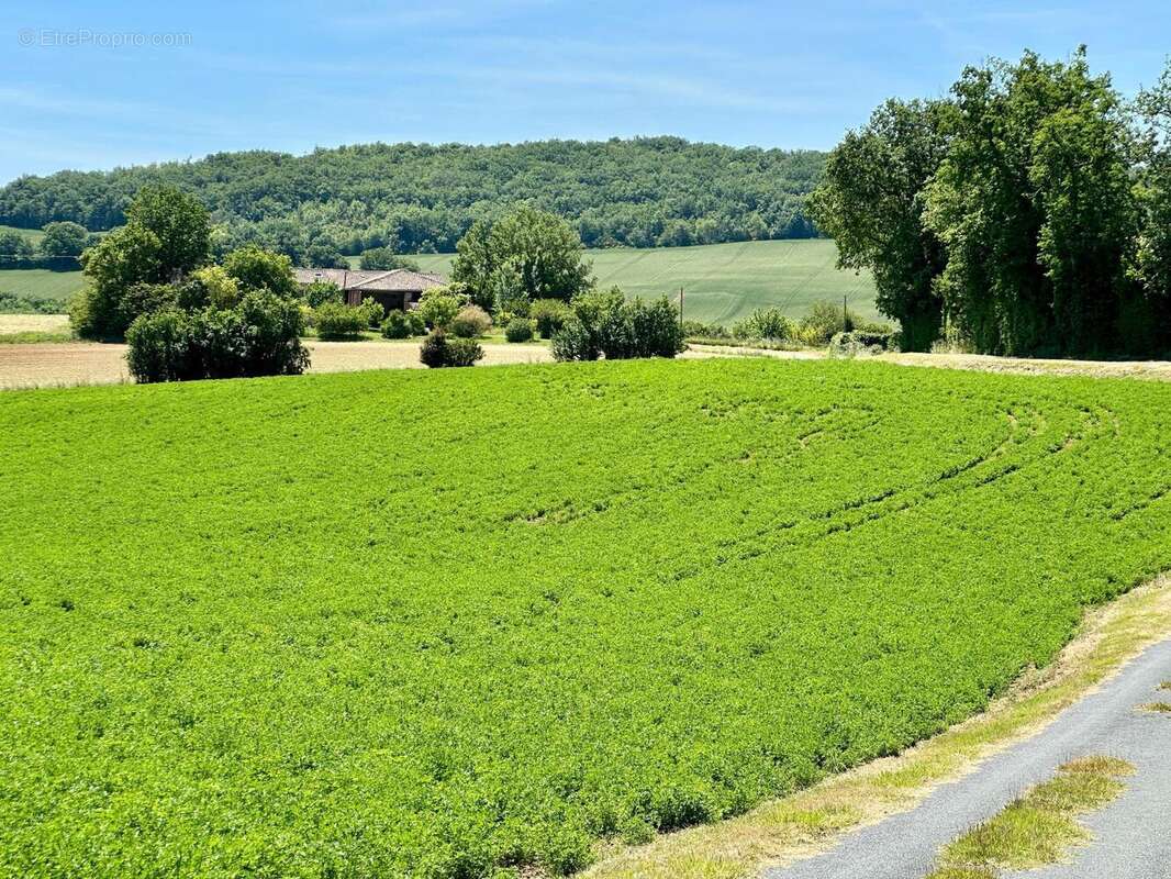Maison 271 m² à Prades  - photo 2