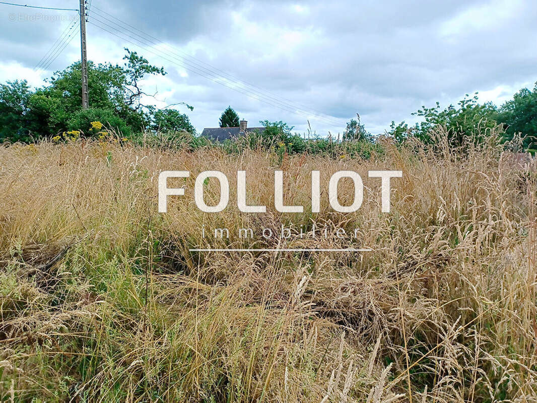 Maison à BAZOUGES-LA-PEROUSE