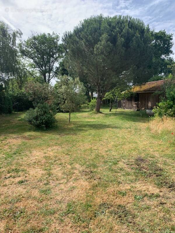Terrain à LISTRAC-MEDOC