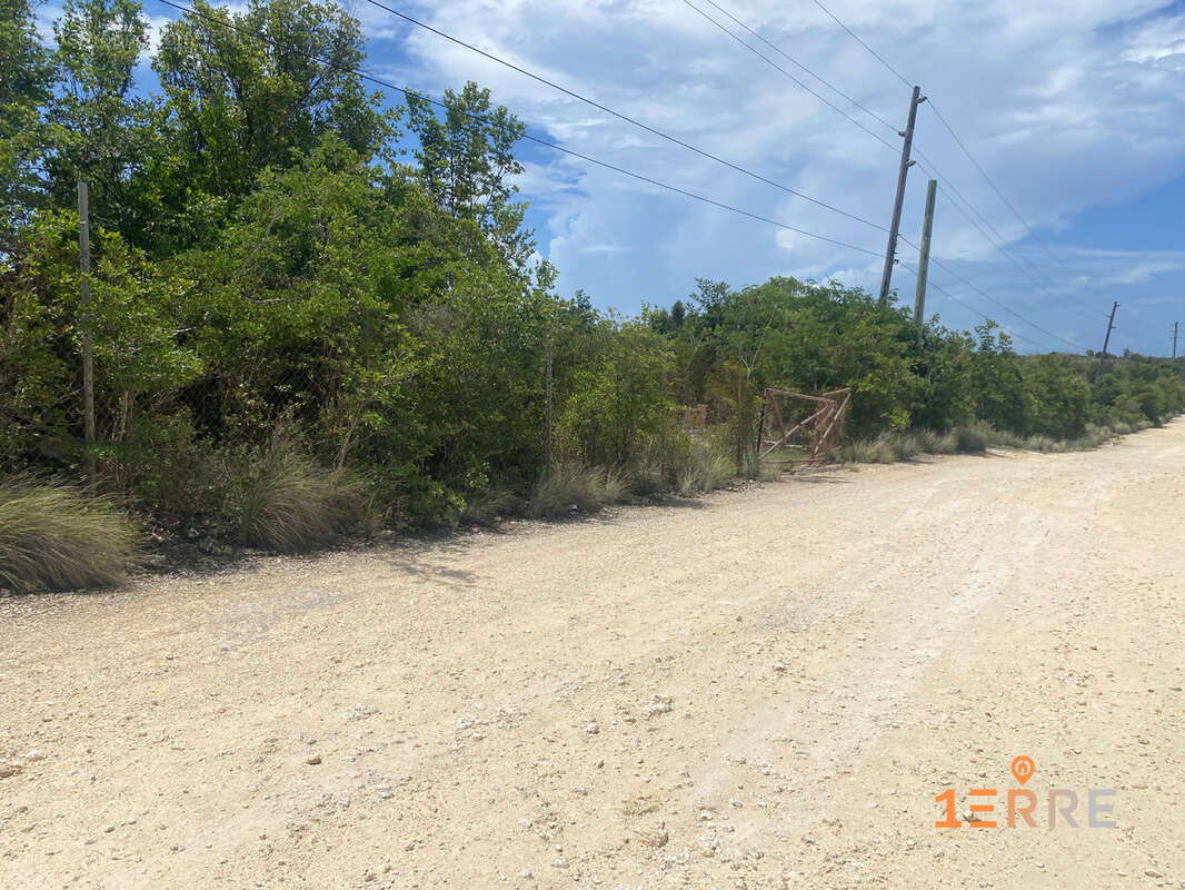 Terrain à SAINT-MARTIN