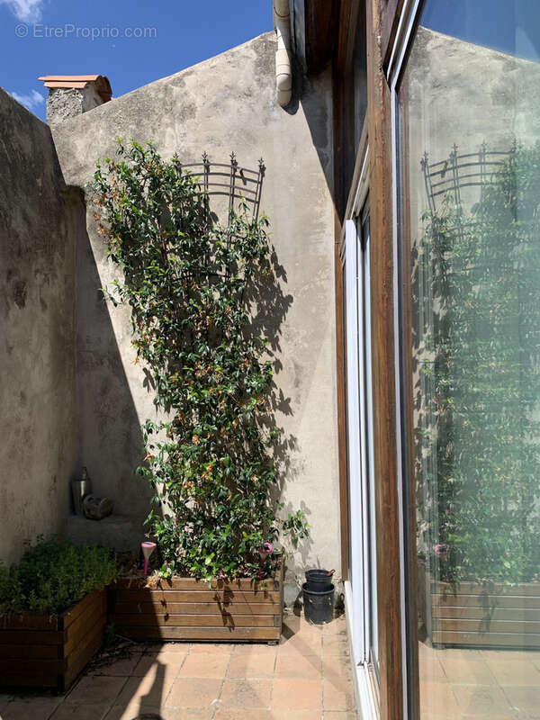 Maison à CARCASSONNE