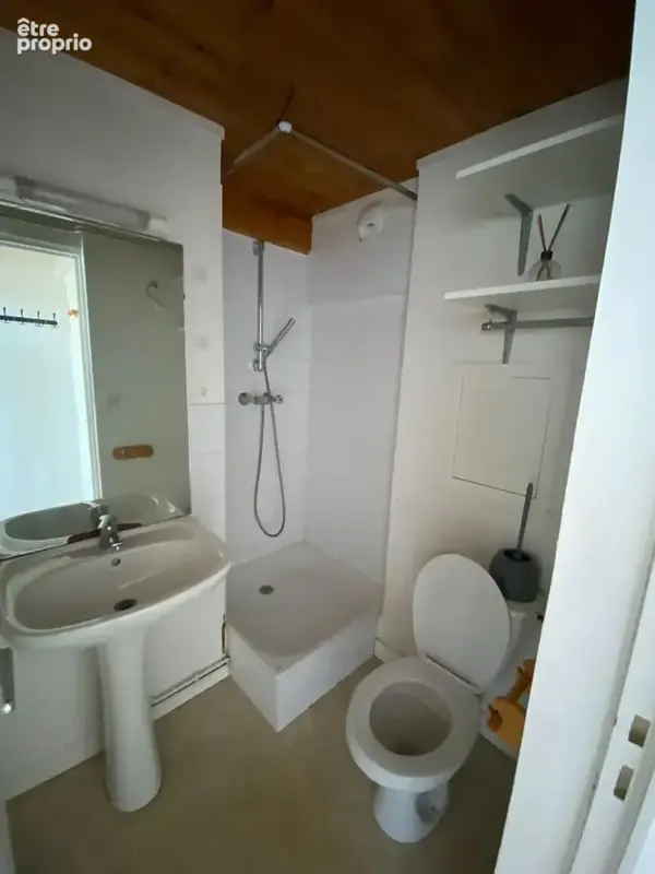 Appartement Caluire Et Cuire 1 pièce(s) 25 m2 - photo 4