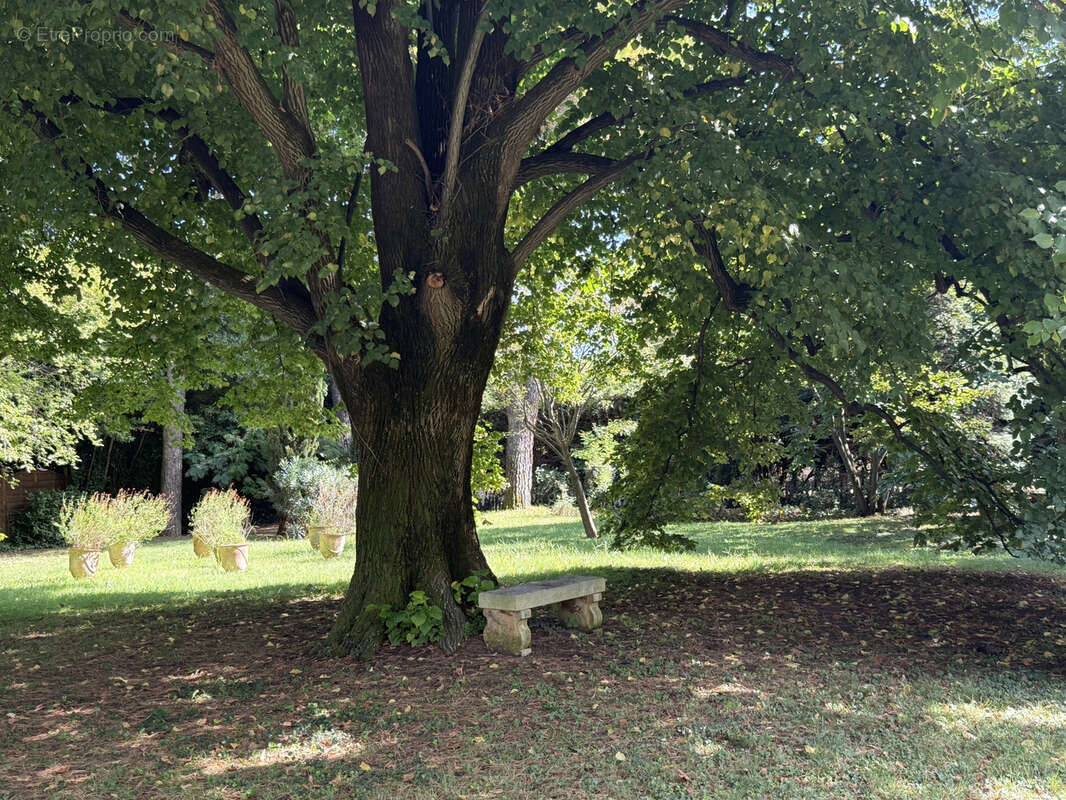 Maison à PIERRELATTE