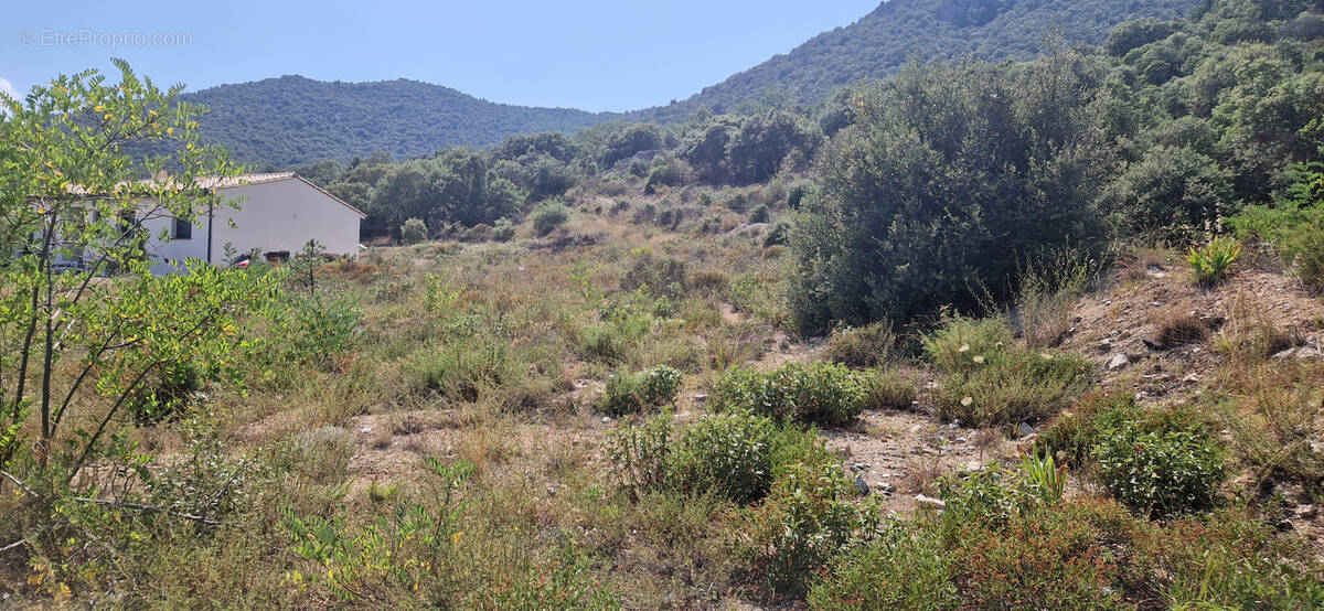 Terrain à MONTALBA-LE-CHATEAU