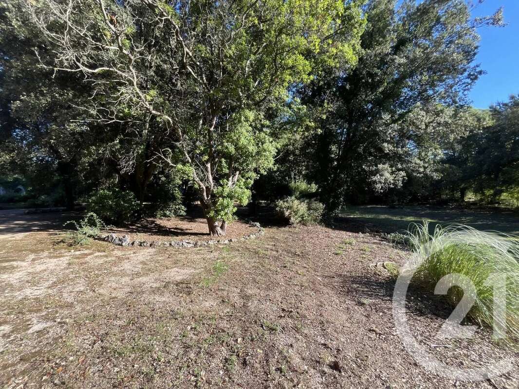 Terrain à ROQUEFORT-LES-PINS