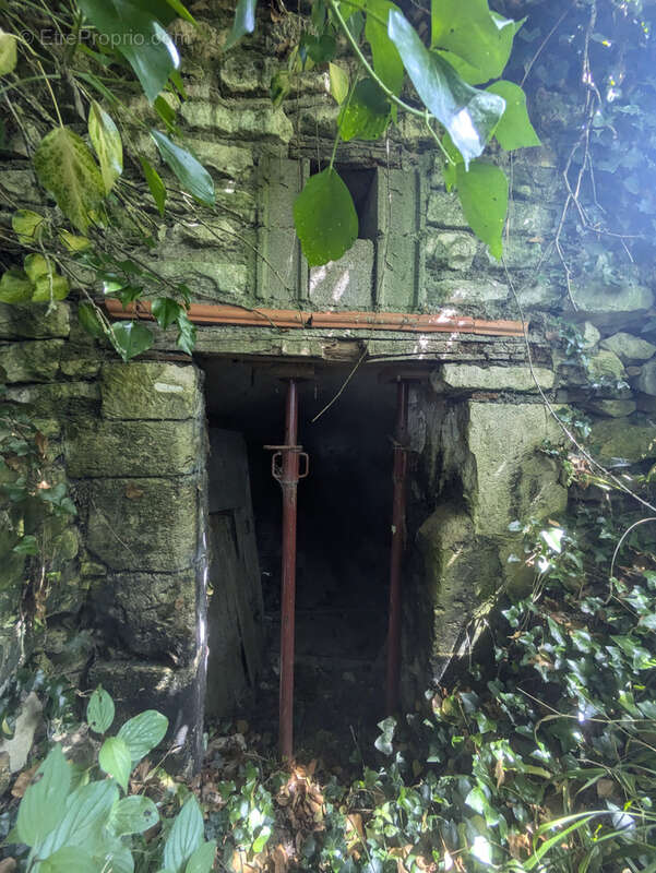Maison à LA CHAPELLE-BLANCHE-SAINT-MARTIN