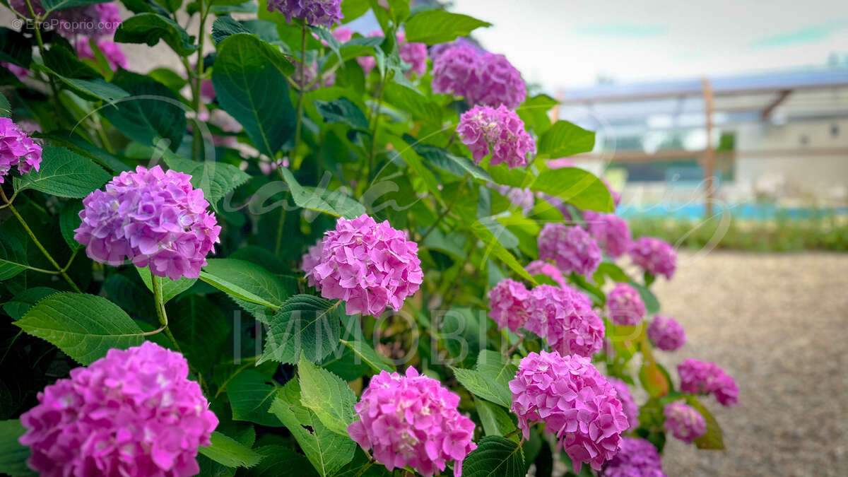 Maison à BRISSAC-QUINCE