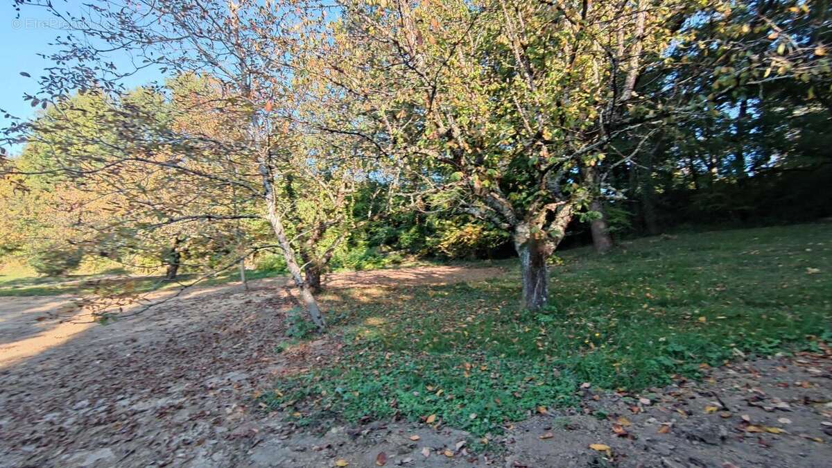 Photo 6 - Terrain à CASTELNAU-D'ESTRETEFONDS