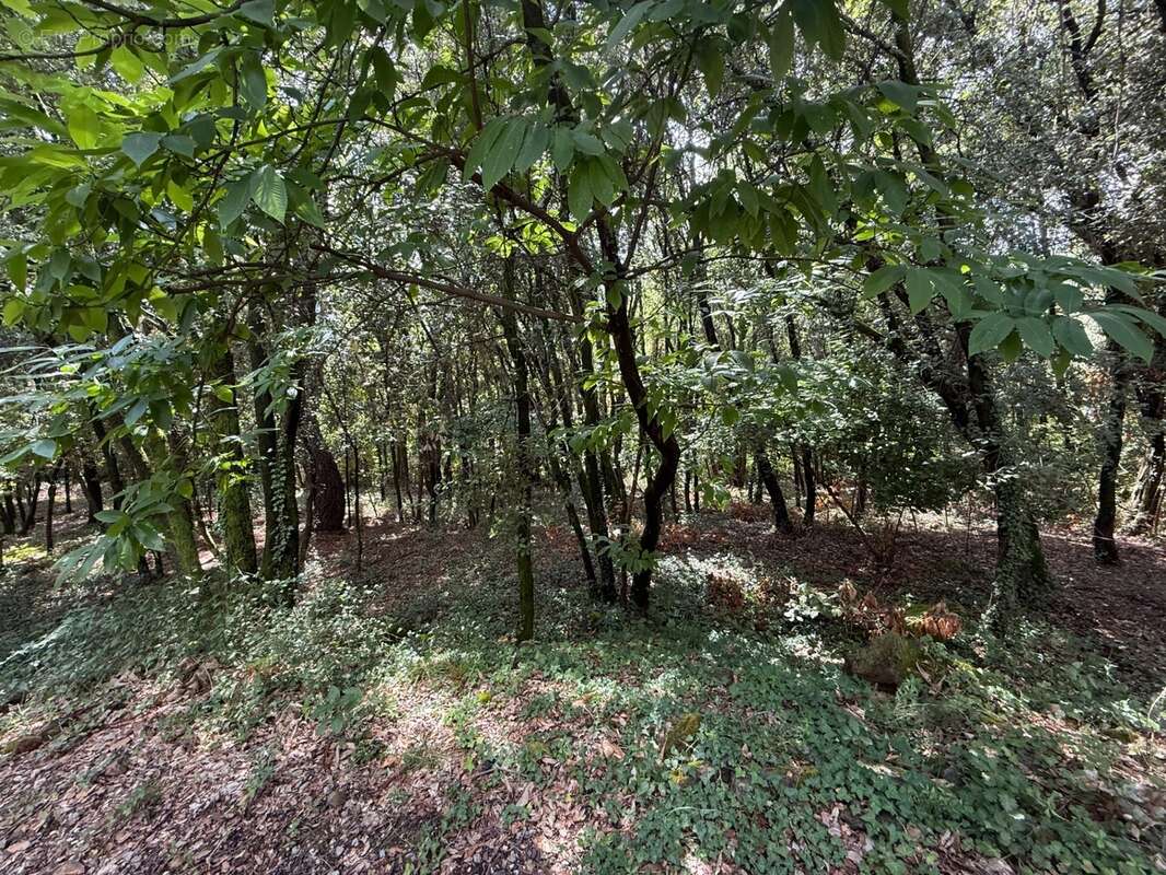 Terrain à bâtir à vendre 1032 m2  CENDRAS (30480) - photo 2