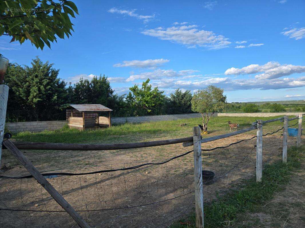 BAGARD, Mas de 6 pièces d'environ 171 m2 rénové  avec dépendances sur un terrain de 6465 m2 - photo 15