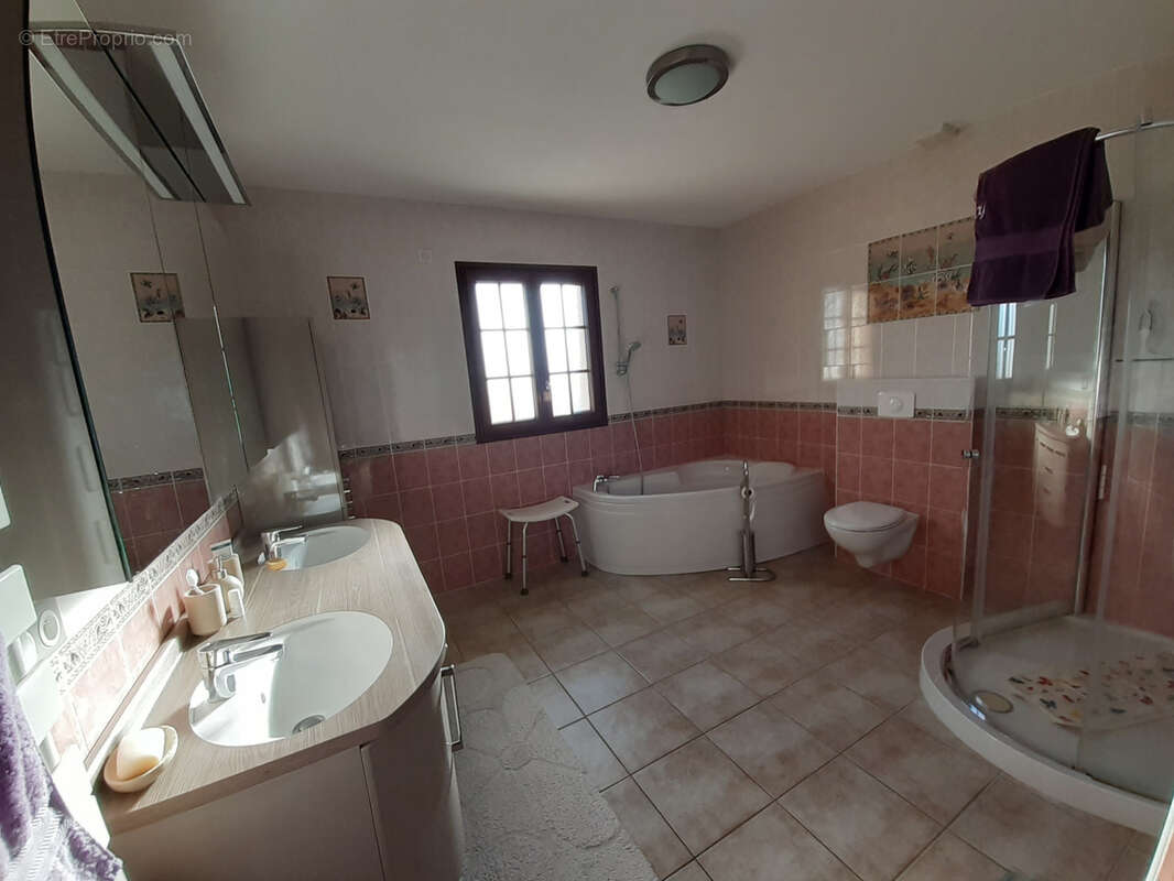 Maison à SAINT-JEAN-LESPINASSE