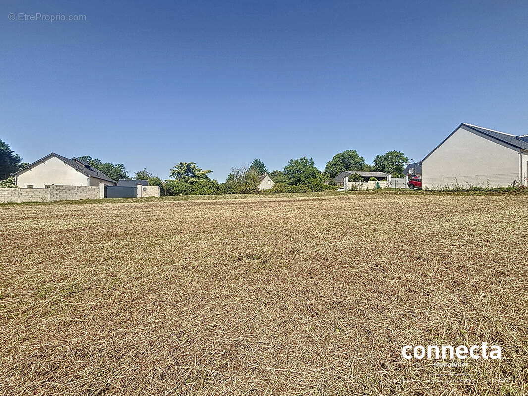 Terrain à SAINT-MARTIN-LE-BEAU