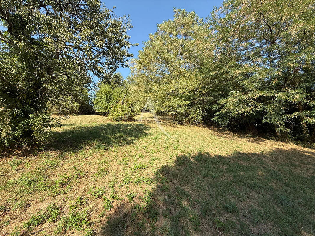 CARMAUX. Terrain de 3259 m² - photo 5